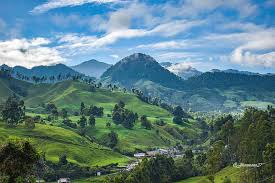 GALLINAZO VILLAMARÍA GALLINAZO VILLAMARÍA